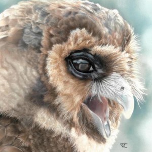 christine_ tribouilloy